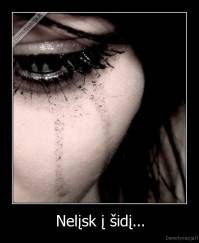 Nelįsk į šidį... - 