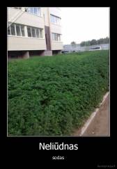 Neliūdnas - sodas