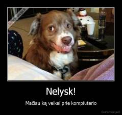 Nelysk! - Mačiau ką veikei prie kompiuterio