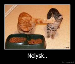 Nelysk.. - 