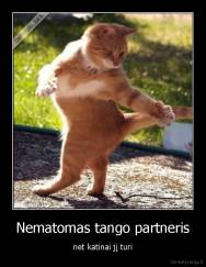 Nematomas tango partneris - net katinai jį turi