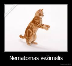 Nematomas vežimėlis - 