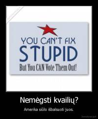 Nemėgsti kvailių? - Amerika siūlo išbalsuoti juos.