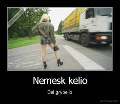 Nemesk kelio - Dėl grybelio