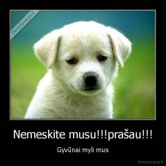 Nemeskite musu!!!prašau!!! - Gyvūnai myli mus