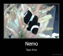 Nemo - Tapo Emo