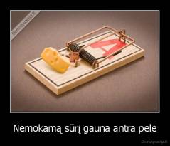 Nemokamą sūrį gauna antra pelė - 