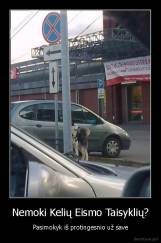 Nemoki Kelių Eismo Taisyklių? - Pasimokyk iš protingesnio už save