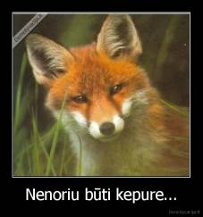 Nenoriu būti kepure... - 