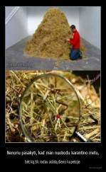 Nenoriu pasakyti, kad man nuobodu karantino metu, - bet ką tik radau adatą šieno kupetoje 