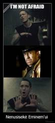 Nenusisekė Eminem'ui  - 