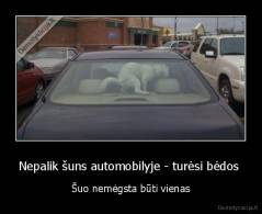 Nepalik šuns automobilyje - turėsi bėdos  - Šuo nemėgsta būti vienas