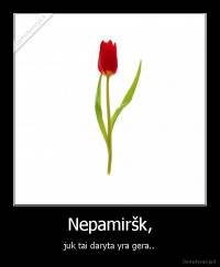 Nepamiršk, - juk tai daryta yra gera..