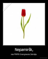 Nepamiršk, - nes MAMA brangiausia žemėje.