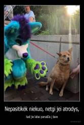 Nepasitikėk niekuo, netgi jei atrodys, - kad jie labai panašūs į tave