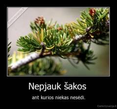 Nepjauk šakos  - ant kurios niekas nesėdi.