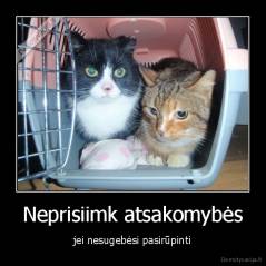 Neprisiimk atsakomybės - jei nesugebėsi pasirūpinti