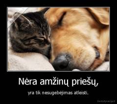 Nėra amžinų priešų, - yra tik nesugebėjimas atleisti.