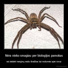 Nėra nieko smagiau per biologijos pamokas - nei stebėti merginų veido išraiškas kai mokomės apie vorus