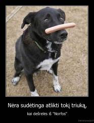 Nėra sudėtinga atlikti tokį triuką, - kai dešrelės iš "Norfos"