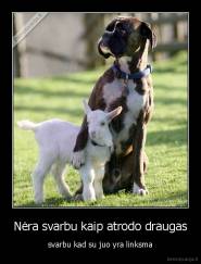 Nėra svarbu kaip atrodo draugas - svarbu kad su juo yra linksma