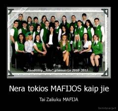 Nera tokios MAFIJOS kaip jie - Tai Zaliuku MAFIJA