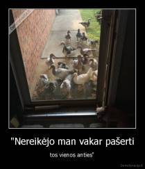 "Nereikėjo man vakar pašerti - tos vienos anties"