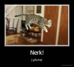 Nerk! - į gilumą!