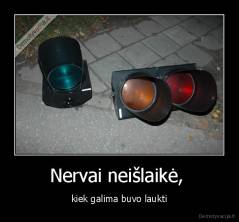 Nervai neišlaikė,  - kiek galima buvo laukti