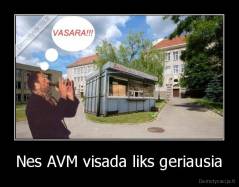 Nes AVM visada liks geriausia - 
