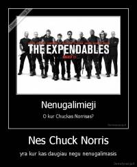 Nes Chuck Norris - yra kur kas daugiau negu nenugalimasis