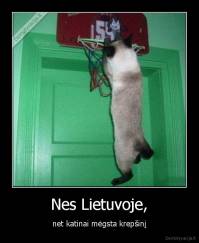 Nes Lietuvoje, - net katinai mėgsta krepšinį