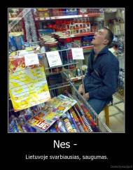Nes -  - Lietuvoje svarbiausias, saugumas.
