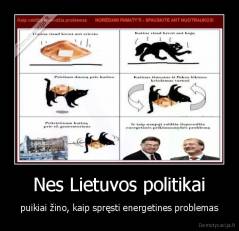 Nes Lietuvos politikai - puikiai žino, kaip spręsti energetines problemas