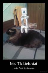 Nes Tik Lietuviai  - Moka Žaisti Su Gyvunais