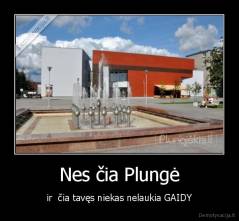 Nes čia Plungė - ir  čia tavęs niekas nelaukia GAIDY
