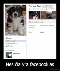Nes čia yra facebook'as - 