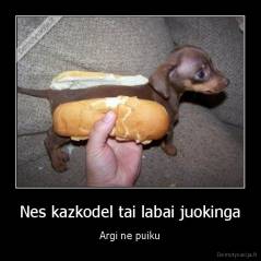 Nes kazkodel tai labai juokinga - Argi ne puiku