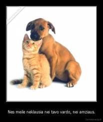 Nes meile neklausia nei tavo vardo, nei amziaus. - 