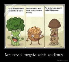 Nes nevisi megsta zaisti zaidimus  - 
