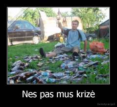 Nes pas mus krizė - 