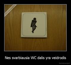 Nes svarbiausia WC dalis yra veidrodis - 