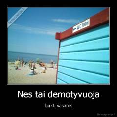 Nes tai demotyvuoja - laukti vasaros