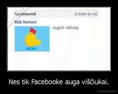 Nes tik Facebooke auga viščiukai. - 
