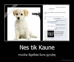 Nes tik Kaune - muzika išgelbės šuns gyvybę