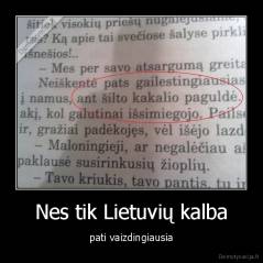 Nes tik Lietuvių kalba - pati vaizdingiausia