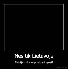 Nes tik Lietuvoje - Policija dirba kaip reikiant gerai!