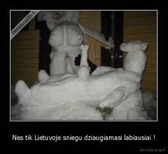 Nes tik Lietuvoje sniegu dziaugiamasi labiausiai ! - 