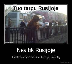 Nes tik Rusijoje - Meškos nevaržomai vaikšto po miestą