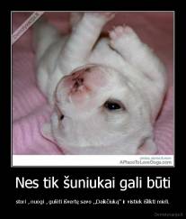 Nes tik šuniukai gali būti - stori , nuogi , gulėti išvertę savo ,,Daikčiuką'' ir vistiek išlikti mieli.